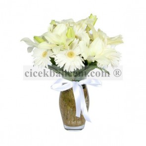 Sensiz Olmaz, Beyaz Gerbera ve Lilyum