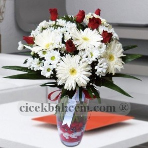 Beyaz Gerbera ve Kırizantem 5 Adet Kırmızı Gül SA496