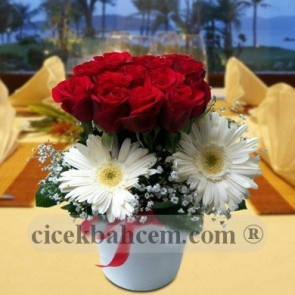 Kırmızı Gül ve Beyaz  Gerbera Aranjmanı